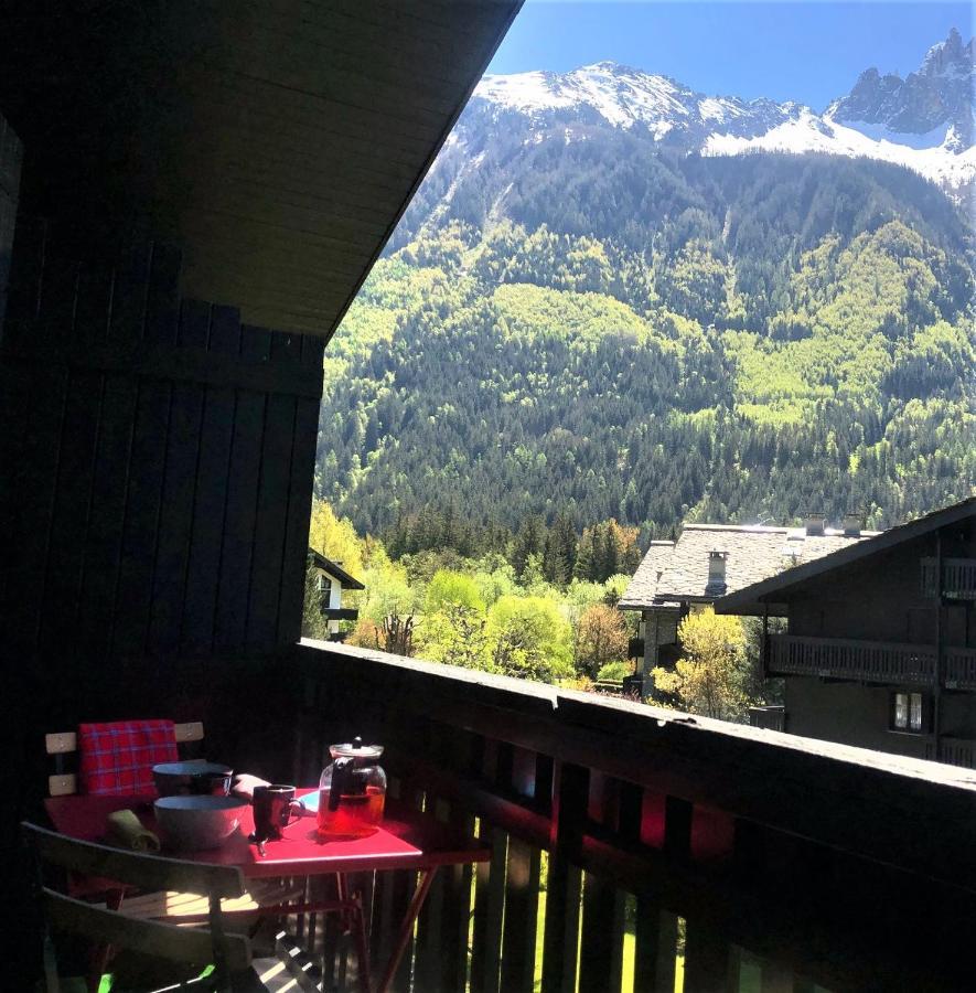 Chamonix Superbe Appartement Vue Mont Blanc Buitenkant foto