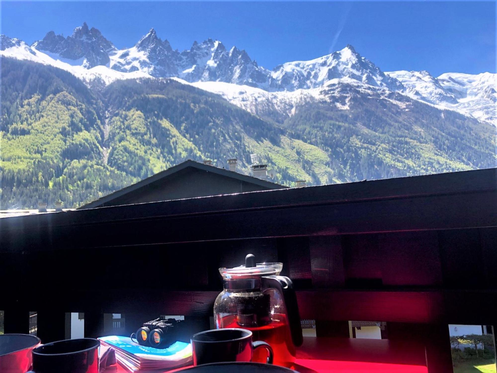 Chamonix Superbe Appartement Vue Mont Blanc Buitenkant foto